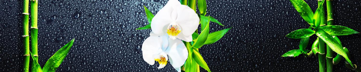 Изображение скинали, орхидея