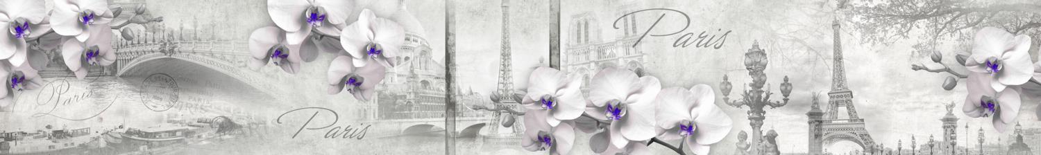 Изображение скинали, цветы, орхидея, париж, эйфелева, башня