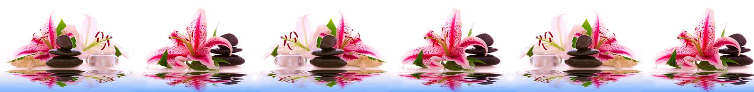Изображение скинали, цветы, орхидея, розовый