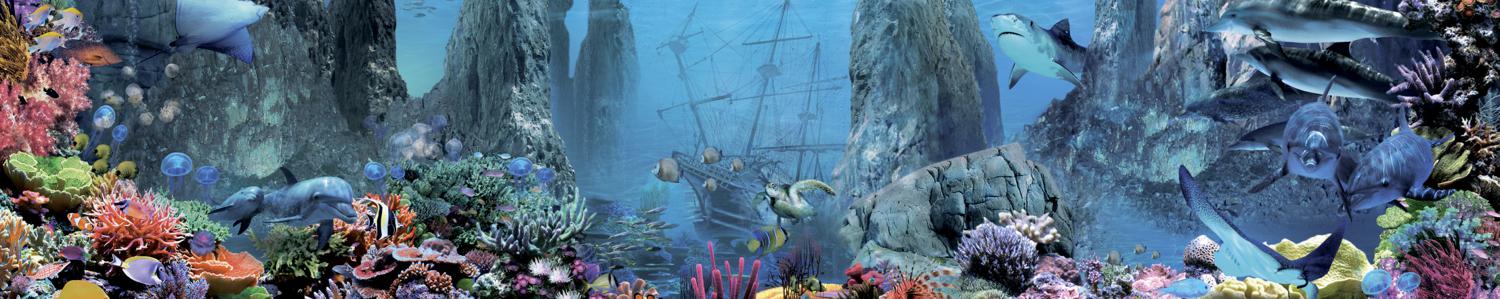 Изображение скинали, море, аквариум, водоем, животные, рыба, подводный