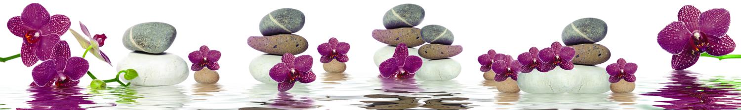 Изображение скинали, вода, цветы, камни, орхидея