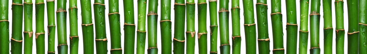 Изображение скинали, бамбук