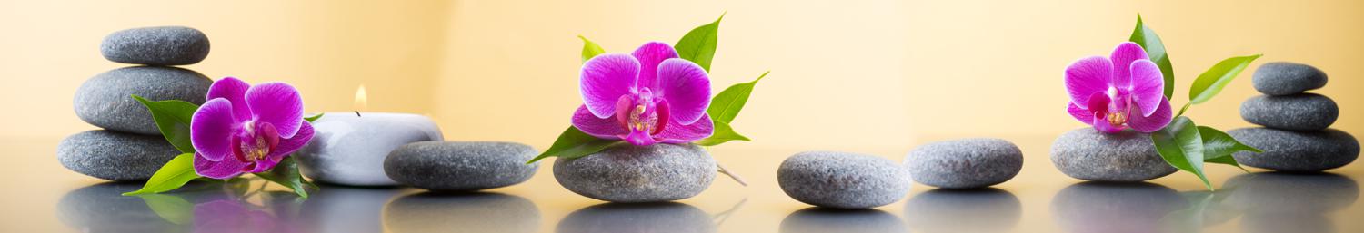 Изображение скинали, цветы, камни, орхидеи