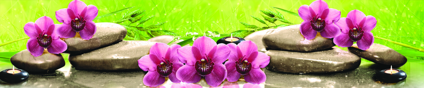 Изображение скинали, цветы, камни, орхидея