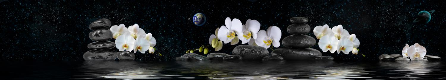 Изображение скинали, цветы, камни, орхидея