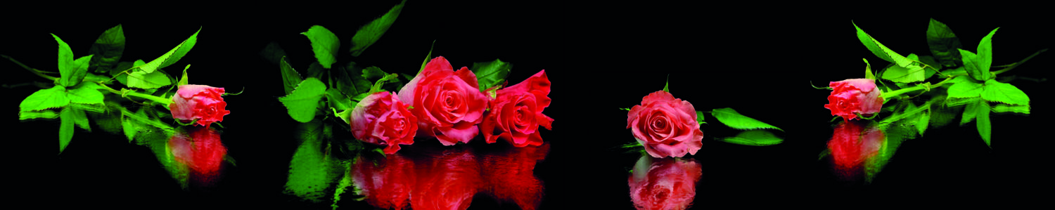 Изображение скинали, цветок, роза