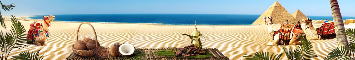 Изображение скинали, пляж, египет, верблюды