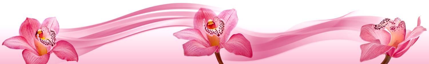 Изображение скинали, цветы, орхидея, абстракция