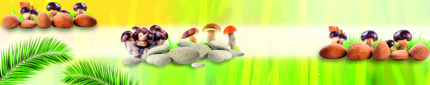 Изображение скинали, камни, грибы