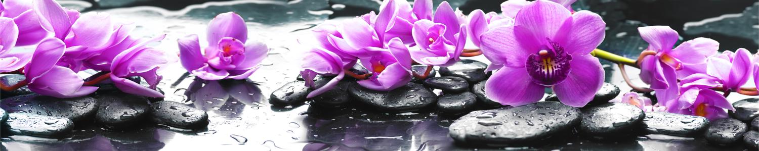 Изображение скинали, цветы, фиолетовый