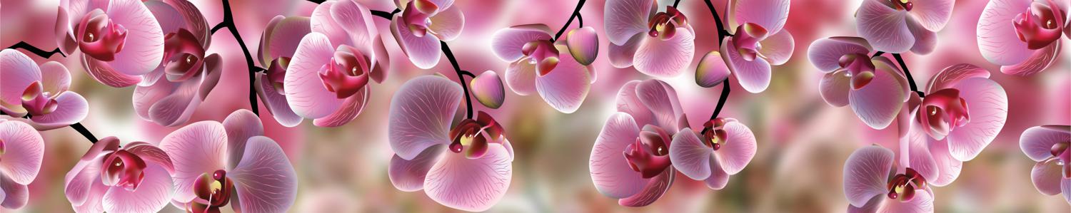 Изображение скинали, орхидея, цветок