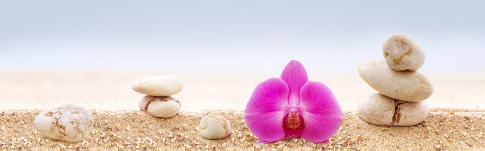 Изображение скинали, цветы, камни, орхидея, песок