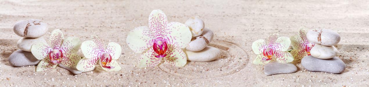 Изображение скинали, камни, орхидея, песок