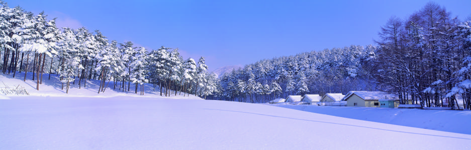 Изображение скинали, природа, зима, лес, снег, зимний, деревня