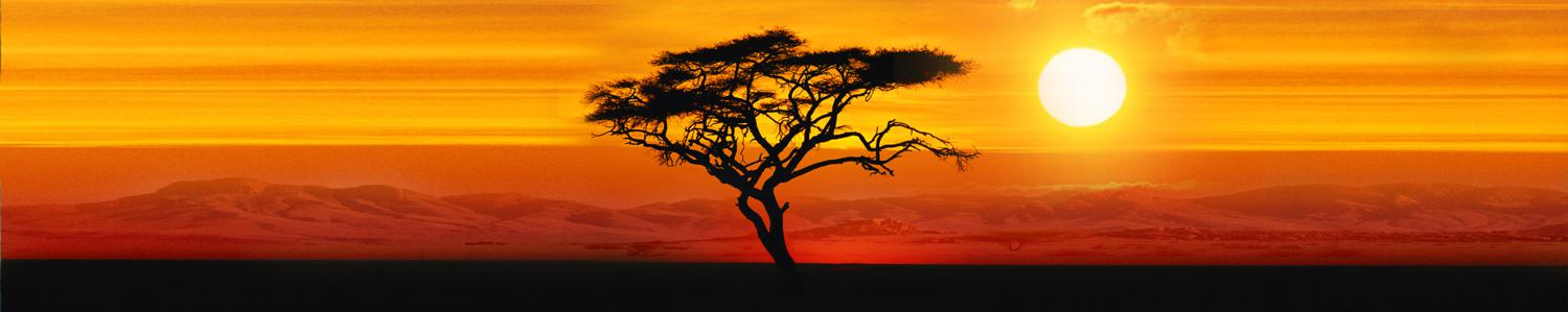 Изображение скинали, природа, закат, дерево, африка, пустыня