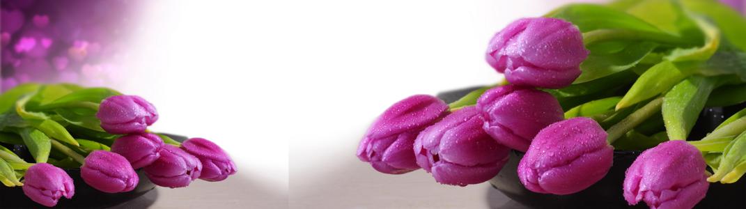Изображение скинали, цветы, тюльпаны, фиолетовые
