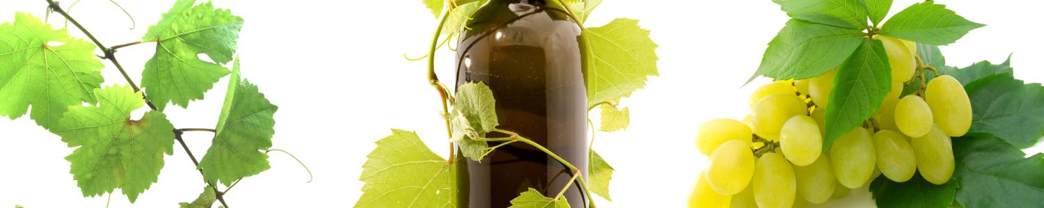 Изображение скинали, виноград, вино, бутылка