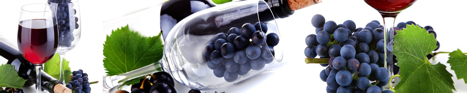 Изображение скинали, виноград, бокал, вино, бутылка, лоза