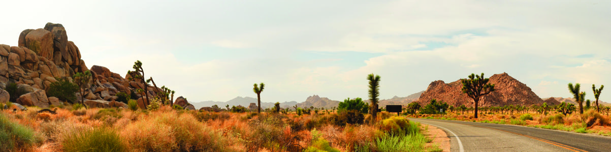Изображение скинали, пустыня, панорама, савана