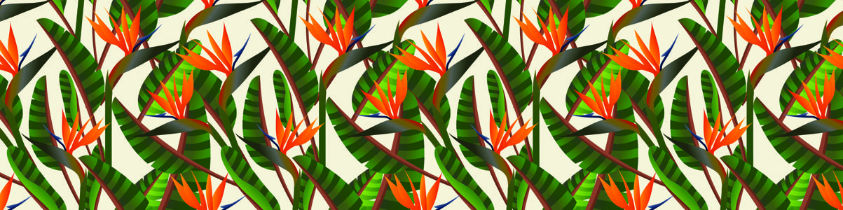 Изображение скинали, рисунок, листья, вектор, тропические
